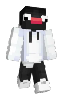 PartyProNL Minecraft avatar full body