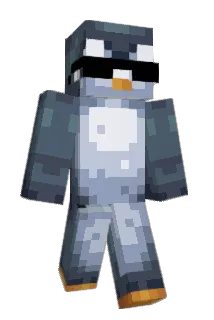 Partypojken Minecraft avatar full body