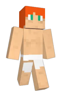 Parvinkel Minecraft avatar full body