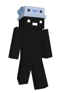 Paskort Minecraft avatar full body