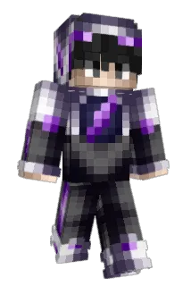 Passagier Minecraft avatar full body