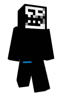Passatka Minecraft avatar full body