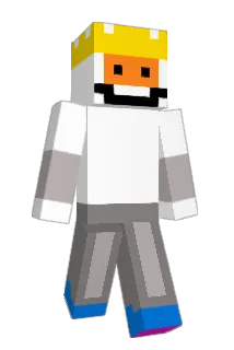 Passelle Minecraft avatar full body