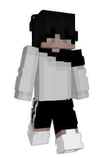 Passer_1 Minecraft avatar full body