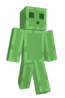 Pasus747 Minecraft avatar full body