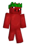 Patlajica Minecraft avatar full body
