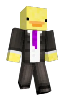 Patomagico Minecraft avatar full body