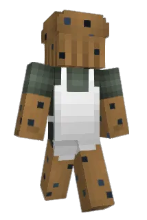 Patrebo Minecraft avatar full body