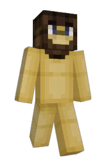 Pattern8021 Minecraft avatar full body