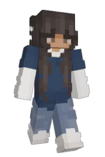 Paul4ir Minecraft avatar full body