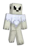 Pauli Minecraft avatar full body