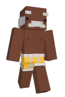 Paulibear11 Minecraft avatar full body