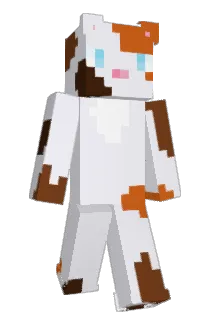 Paulixx00 Minecraft avatar full body