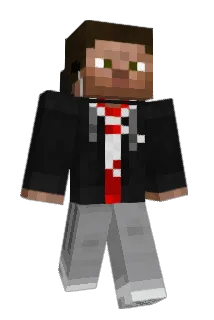 Pave98 Minecraft avatar full body