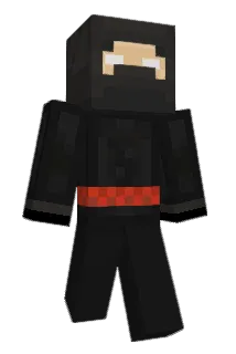 PawelPL84 Minecraft avatar full body