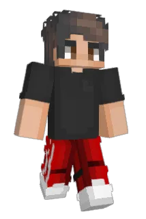 Pawlus_ Minecraft avatar full body