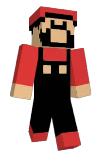 Pawnshop Minecraft avatar full body