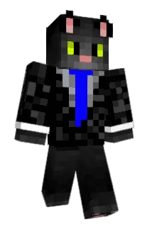Pawnup Minecraft avatar full body