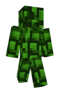 Pawulak Minecraft avatar full body