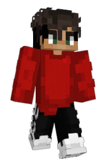 PayWithVisa Minecraft avatar full body