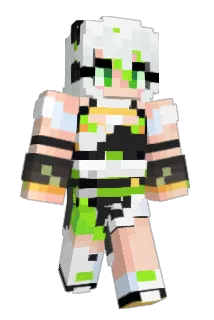 PayaPan Minecraft avatar full body
