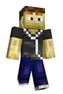 Paygauge Minecraft avatar full body