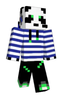 Payson307 Minecraft avatar full body