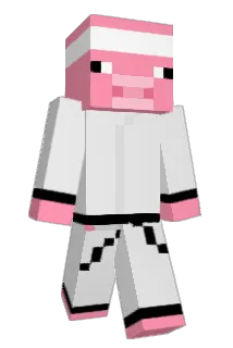 Pazoop19 Minecraft avatar full body