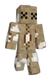Pbunka Minecraft avatar full body