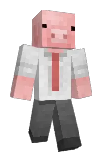 Pcikels Minecraft avatar full body