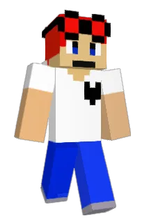 PdTDM Minecraft avatar full body