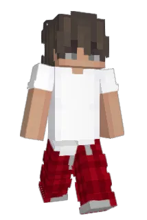 Pdka Minecraft avatar full body
