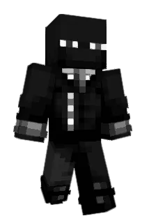 PdrSB Minecraft avatar full body