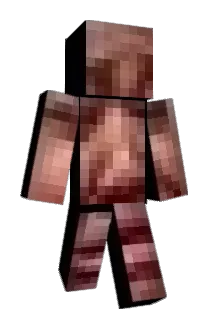 PeSeSs Minecraft avatar full body