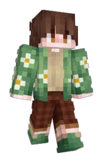 Minecraft-Avatar von Peaceful_boi: ganzer Körper