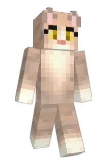 Peachy8 Minecraft avatar full body