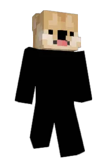 Peanur_0_ Minecraft avatar full body