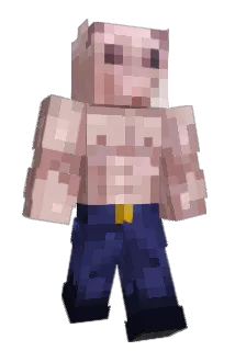 Peasant0 Minecraft avatar full body