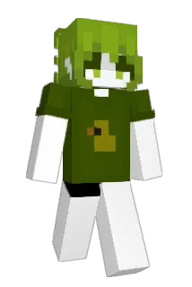 Pedmk Minecraft avatar full body