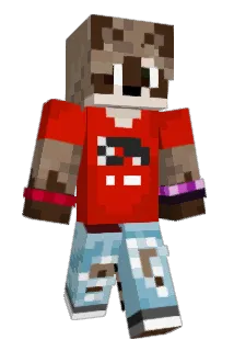 Pedro__TM Minecraft avatar full body