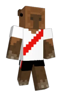 Peka_22 Minecraft avatar full body