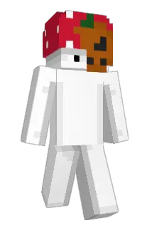 Pell1 Minecraft avatar full body