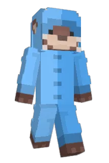 Pellowcase Minecraft avatar full body