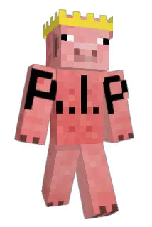 Pellusen1 Minecraft avatar full body