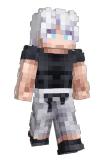 Pelon67 Minecraft avatar full body