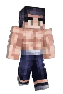 Pelusinha Minecraft avatar full body