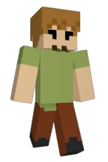 PencilSafety Minecraft avatar full body