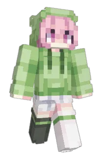 PengL Minecraft avatar full body