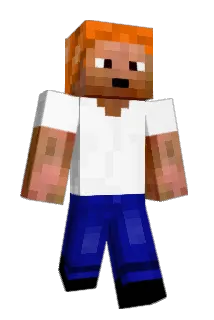 PengPara Minecraft avatar full body