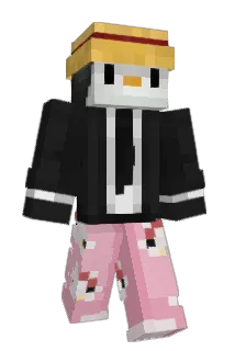 PenguenV1 Minecraft avatar full body